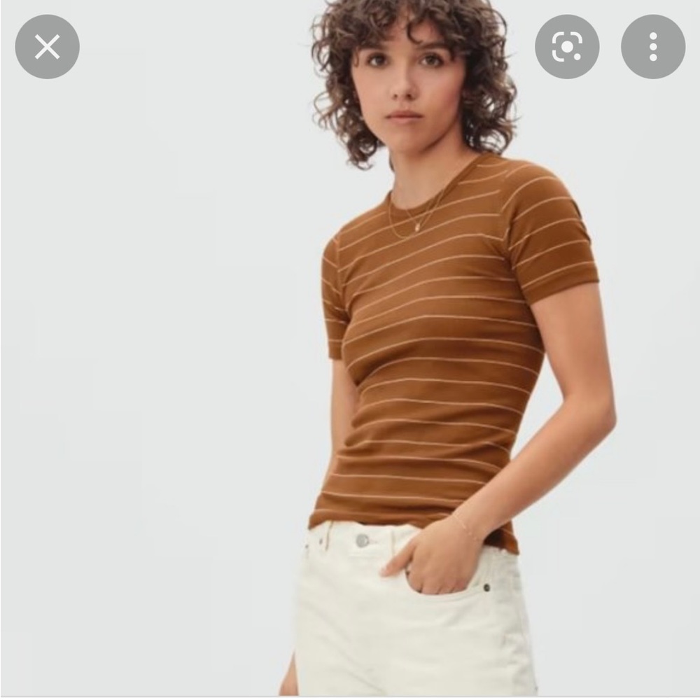 Everlane Pima Rib Crew Tee